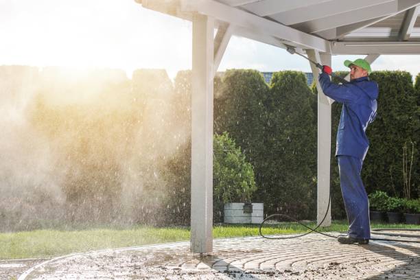 Animal Enclosure Cleaning in Rio Pinar, FL